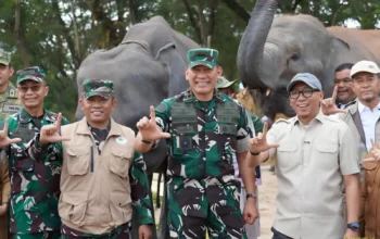 Warga Sekitar Way Kambas Didorong Tanam Sere dan Budidaya Magot untuk Cegah Konflik Gajah