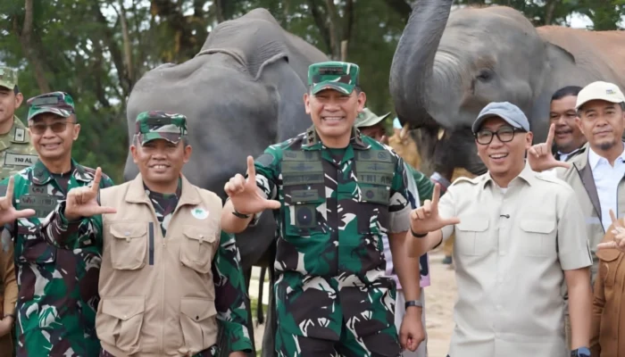 Tekan Konflik Gajah-Manusia di Way Kambas, Warga Bakal Kembangkan Sere hingga Budidaya Lebah